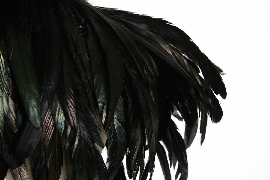 Copy of Boléro à Plumes NOIR