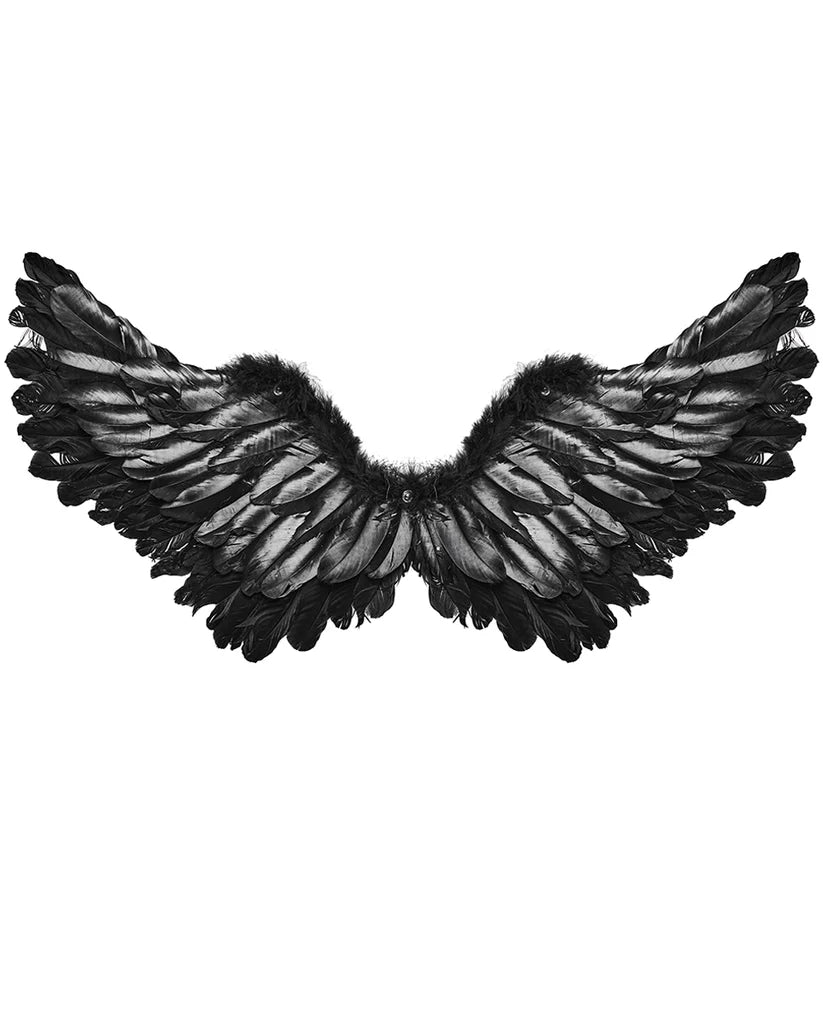 HARNAIS AILES NOIR