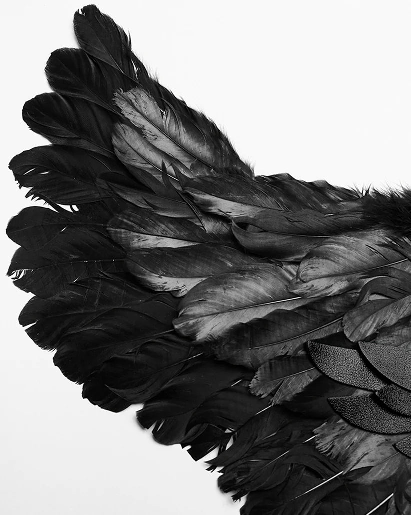 HARNAIS AILES NOIR